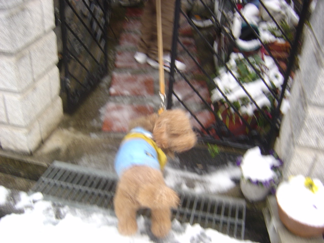 雪、冷たいんですけど