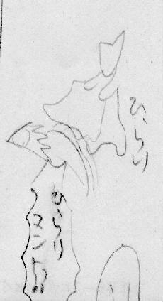 コボマント２.JPG