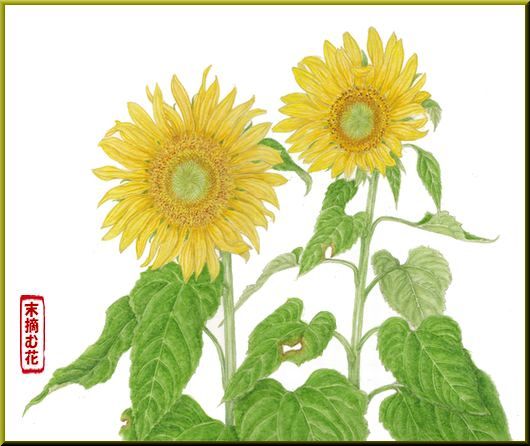 ボタニカルアート作品１ | 末摘む花の雑記帳 - 楽天ブログ