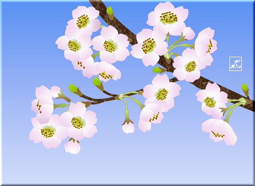 桜の花　・　Wordの絵