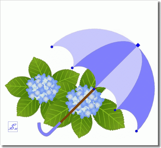 紫陽花と傘＋雨