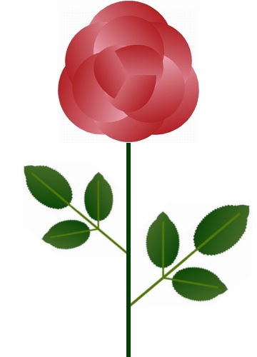 JTrimのバラ　・　JTrimｄ描画