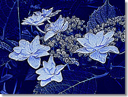 エッジの強調(最大)