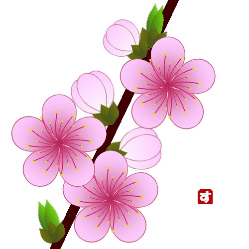桃の花　・　JTrimで描画