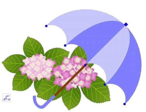 傘と紫陽花　・　JTrimで描画