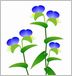 露草の描き方（作成手順）