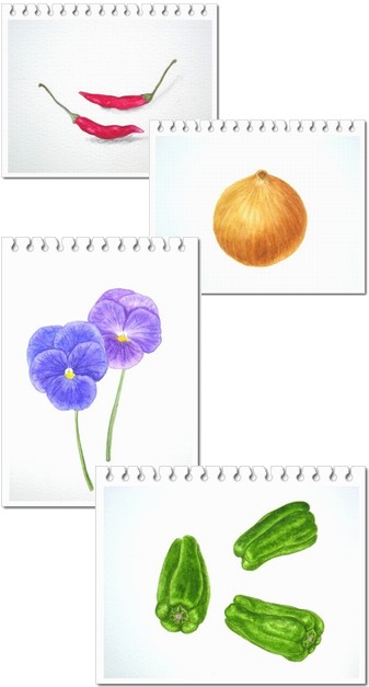 ボタニカルアート・基礎の勉強