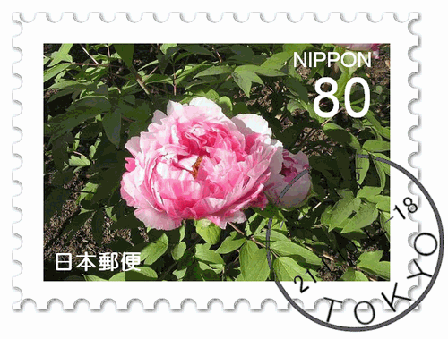 ８０円切手・寒牡丹