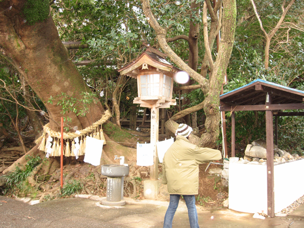 八大竜王神社に