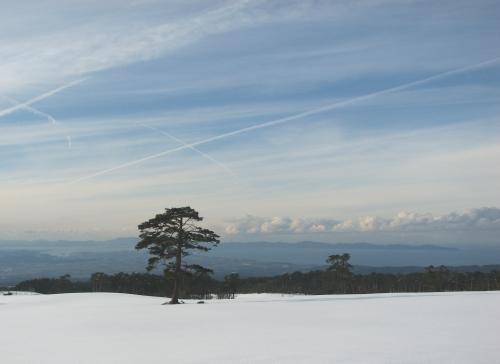 大山山麓から美保湾を望む