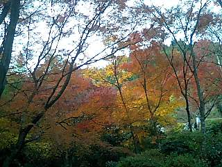 嵐山紅葉３.jpg