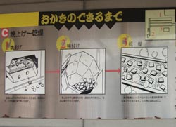 どんぱん7.jpg
