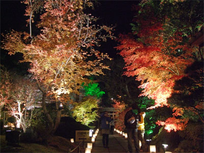 円通院7.jpg