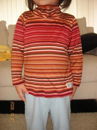 ﾊｲﾈｯｸTｼｬﾂ2