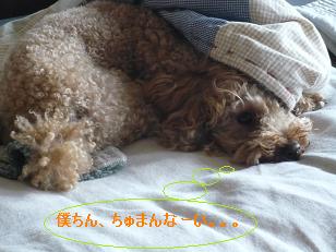 １４年＊結婚記念日 042.JPG