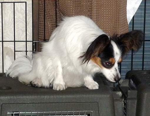 200802 145.jpg