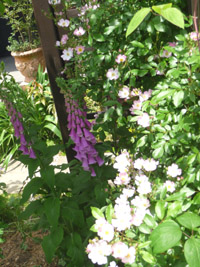 P1010502-2.jpg