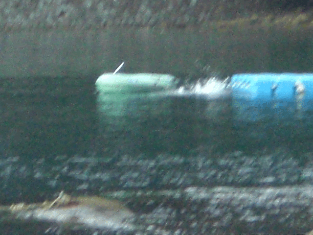 8月の連休にチビ達を連れて2回目の海水浴に行きました。勿論、グルメな酒のつまみ、燻製ほっけも持参です。/10