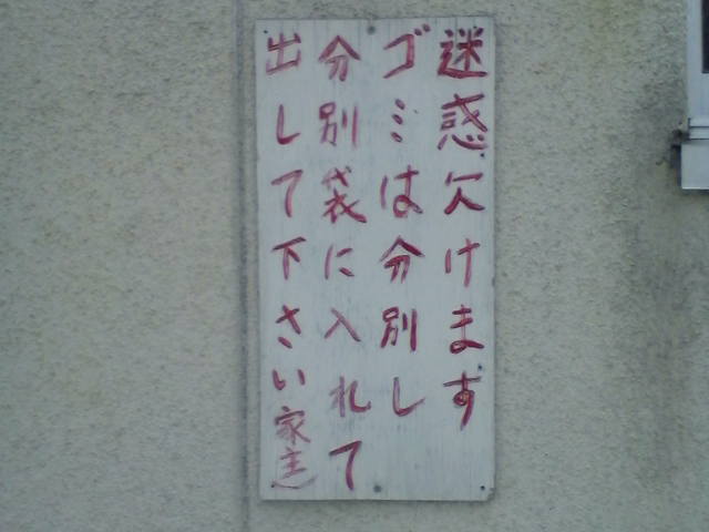 ブログ 458.jpg