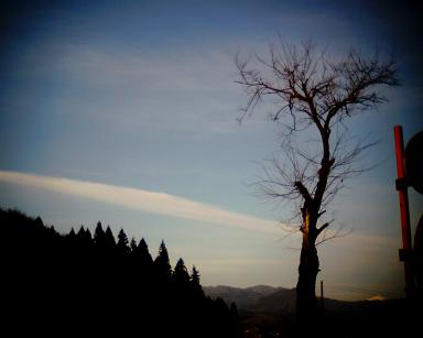 2010-01-25 22:11:05