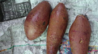 軽く洗ったところ